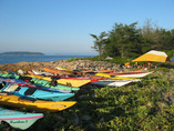 Downeast1a