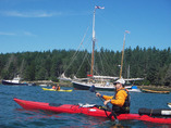 Penbay8