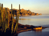 Cactus_islands