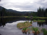 Imgp0870