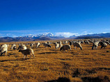 3517_09---tingri-plain_m