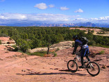 Goose_zion_8