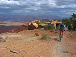 Goose_zion_9