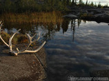 Northwest3