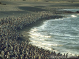 Argentina3