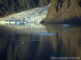 Arctic4