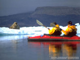 Arctic7