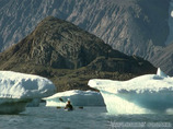 Arctic8