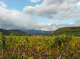 Alsace_tour_photos_days_1_and_2_166