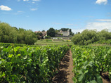 Bordeaux_july_5_day_5_084