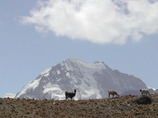 Boliviahaynapostisic
