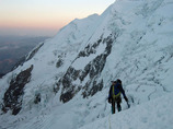 Climberilliaminiboliviac
