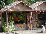Kiliafricabananasc