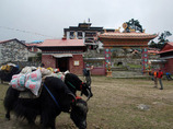 Nepalmonterseryc