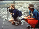 Pp224scope