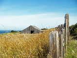 Sea-ranch-6