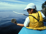 Woman_with_urchin