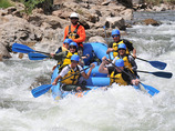 Bcr_3176