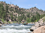 Bcr_3597