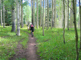Untitled-4_edited-1