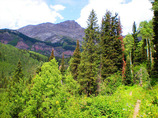 Untitled-12_edited-1