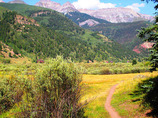 Untitled-11_edited-1