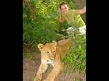Lion_pax2