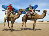 Camel-yak