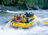 Babine-grizzly-drop-1