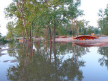 Muddy_waters1