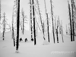 20091231_great_331