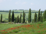 Picture_10
