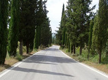 Picture_11