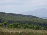 Picture_12