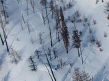 Burn_skiing-ariel