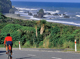 Bnzi-new-zealand