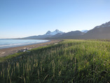 Katmai_coast072010_36_