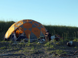 Katmai_coast072010_39_