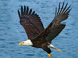 Balq-alaska-biking-2