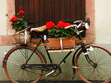 Basif-alsace-biking