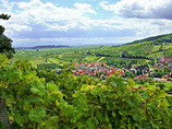 Basi-alsace-biking