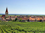 Basi-alsace-biking