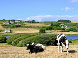 Bbnq-brittany-normandy-biking