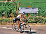 Bbui-burgundy-biking