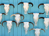 Bnmi-newmexico-biking-2