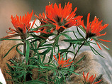 Mbgq-canyons-multisport-6