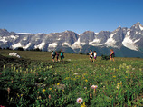 Canadian-rockies-walking-3