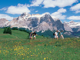 Wdmi_jca_019