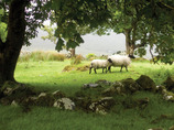 Ireland-hiking-4