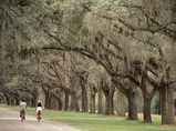 Southcarolina-multi-3